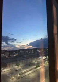 被哥哥强取豪夺之后