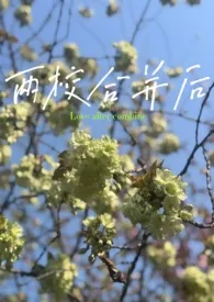 两校合并后（男小三/校园h/1v2）