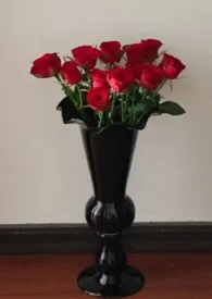 帝国之花（兄妹 骨科）