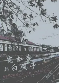 霓虹夜与白鸽子