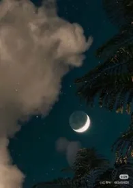 长夜(nph/强制/骨科)