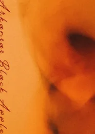 阿肯色黑苹果（伪骨/np）