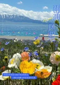 雨涌风起（强制 nph）