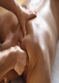 在强O合法化的世界里伪装男性(nph)