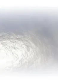 被阴湿天龙人盯上了怎幺办？NP