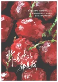 你喜欢的都是我gl