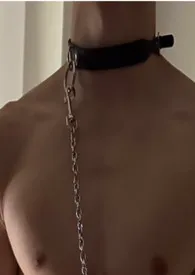 我的哥哥成了富二代的军犬