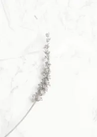 锁定