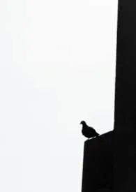 喂养她