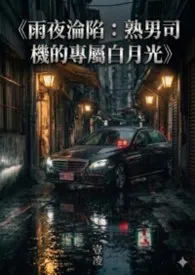 雨夜沦陷：熟男司机的专属白月光