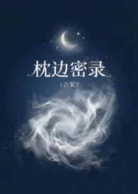 枕边密录 (合集)