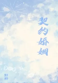 契约婚姻【纯百】