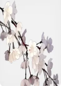 思花谣