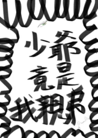 少爷竟是我亲弟!